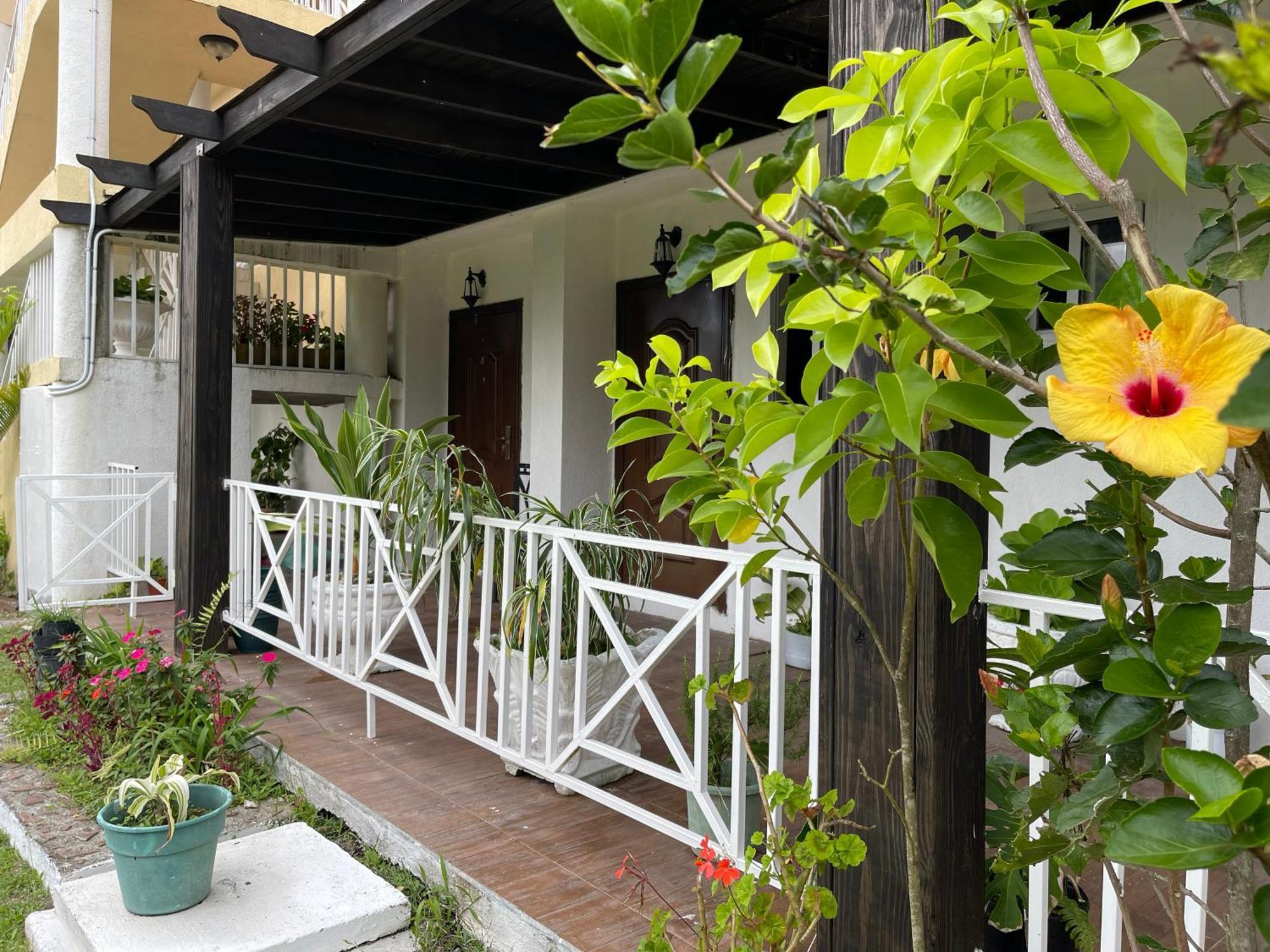 Starlight Chalet & Health Spa Spa Spring Exterior photo